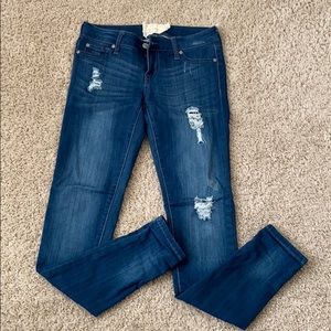 Algae’s State Jegging